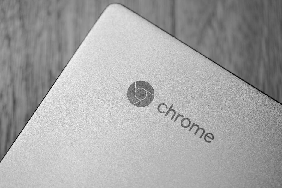 Курсы программирования и дизайна